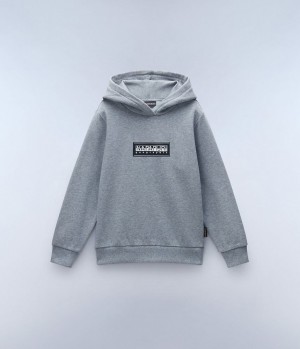 Φουτερ με Κουκουλα Napapijri Chamois Hoodie (4-16 YEARS) παιδικα γκρι | 639GAZCKX