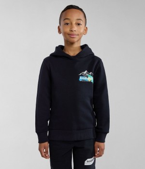 Φουτερ με Κουκουλα Napapijri Liard Hoodie (4-16 YEARS) παιδικα μαυρα | 097TBONAP