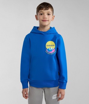 Φουτερ με Κουκουλα Napapijri Liard Hoodie (4-16 YEARS) παιδικα μπλε | 192AYHBCL