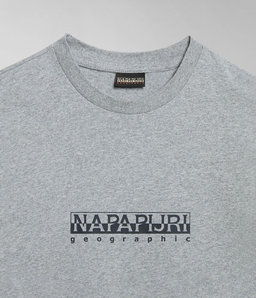 μπλουζακια Napapijri Box Short Sleeve T-Shirt γυναικεια γκρι | 142UJMXCB