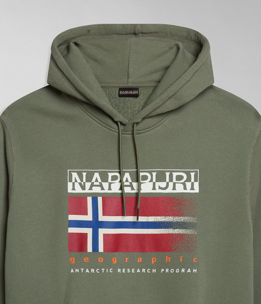 Φουτερ με Κουκουλα Napapijri Kreis Hoodie ανδρικα πρασινο | 257MHNQVC