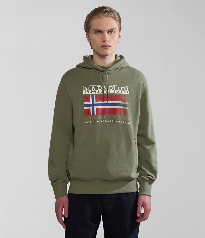 Φουτερ με Κουκουλα Napapijri Kreis Hoodie ανδρικα πρασινο | 257MHNQVC