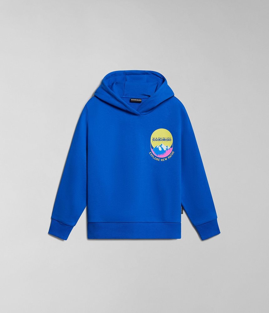 Φουτερ με Κουκουλα Napapijri Liard Hoodie (4-16 YEARS) παιδικα μπλε | 192AYHBCL