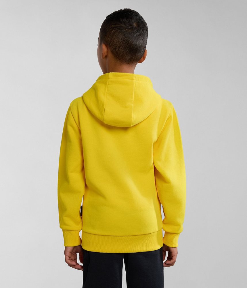 Φουτερ με Κουκουλα Napapijri Liard Hoodie (4-16 YEARS) παιδικα κίτρινα | 924JYVDTX