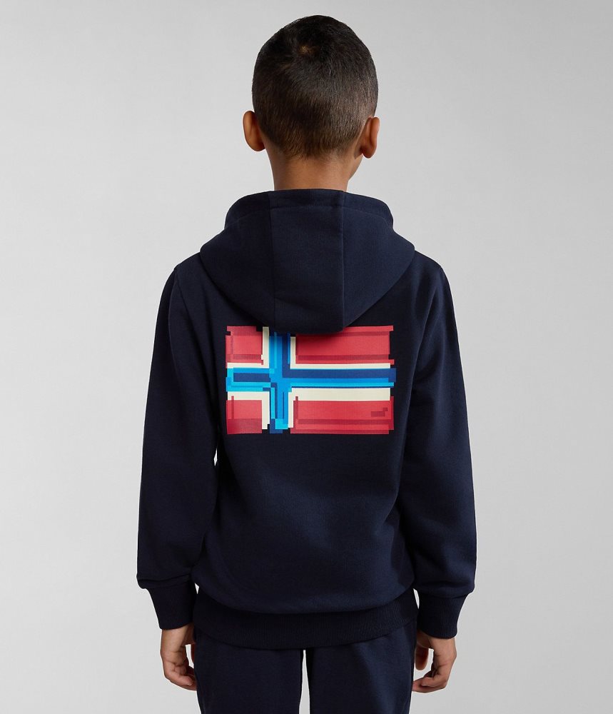 Φουτερ με Κουκουλα Napapijri Liard Hoodie (4-16 YEARS) παιδικα σκούρο μπλε | 125THDRMO