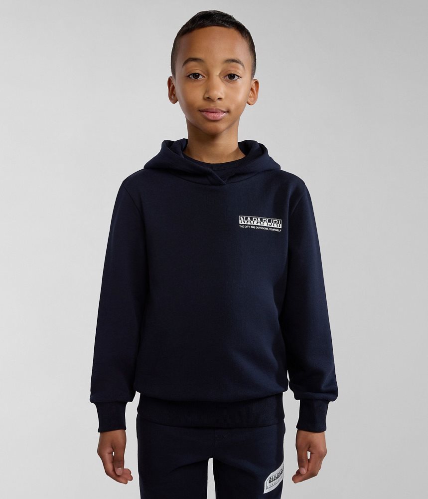 Φουτερ με Κουκουλα Napapijri Liard Hoodie (4-16 YEARS) παιδικα σκούρο μπλε | 125THDRMO